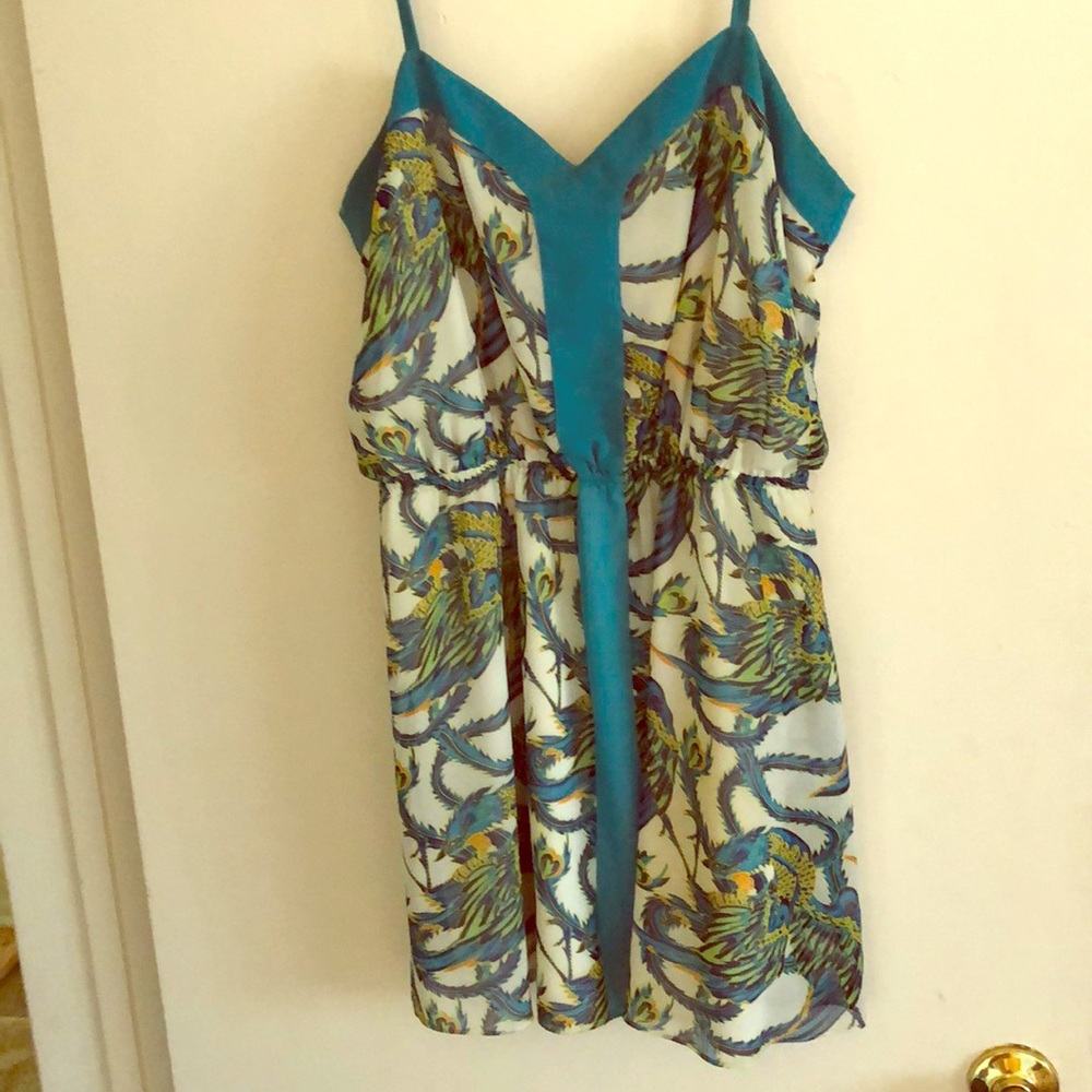 Dragon pattern silk dress